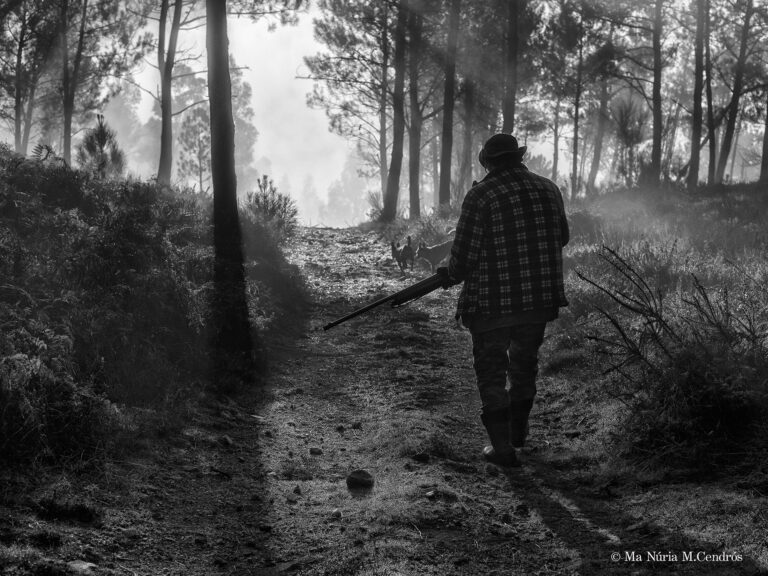 Ma Núria Moreno Cendrós - 09-HUNTING